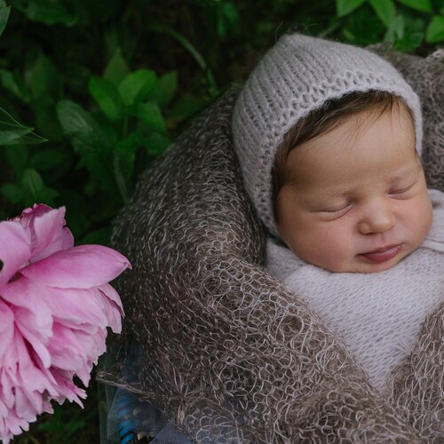Photo #14020692