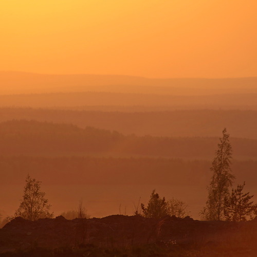 Photo #14020871