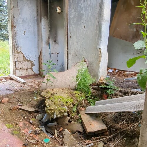 Photo #14020909