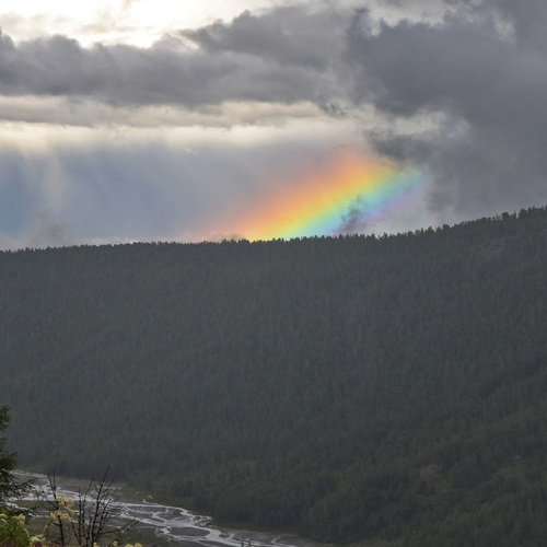 Photo #14021238