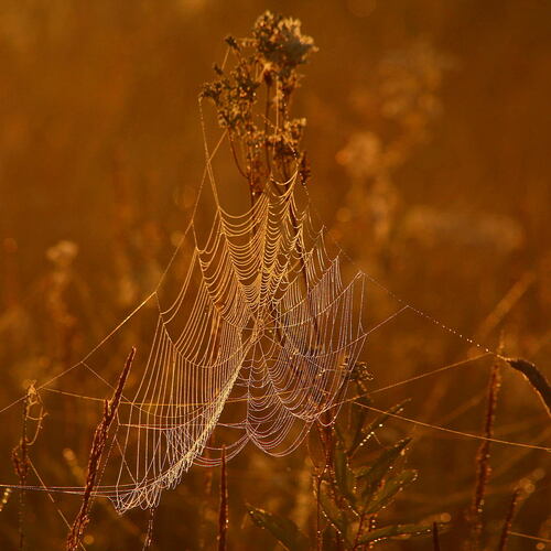 Photo #14021399