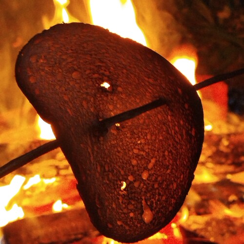 Photo #14021441