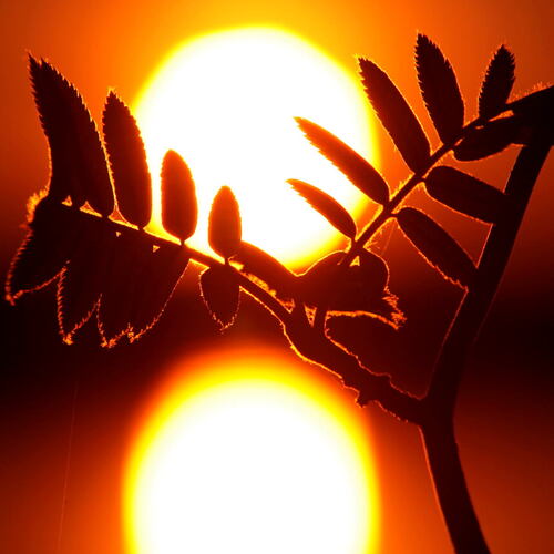 Photo #14021479