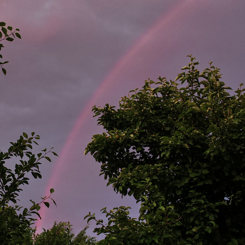 Photo #14021700