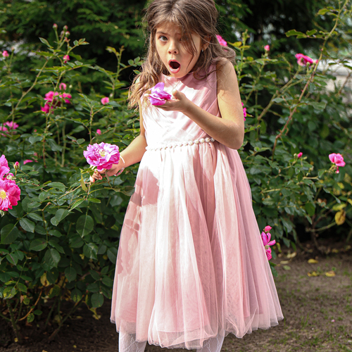 Photo #14021778