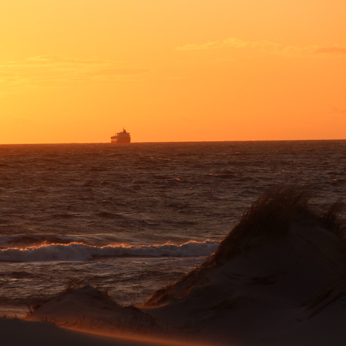 Photo #14021782