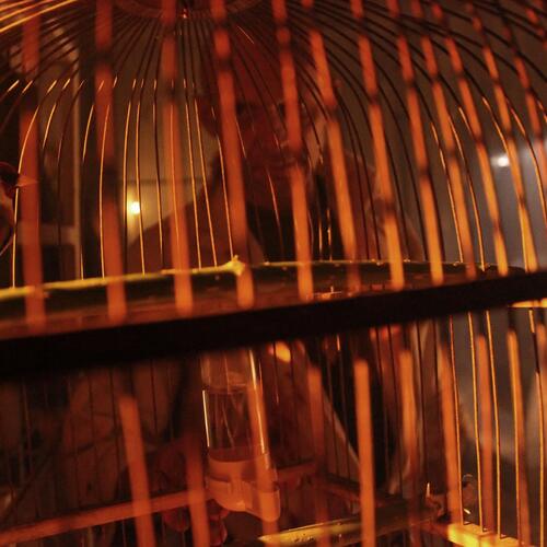 Photo #14021809