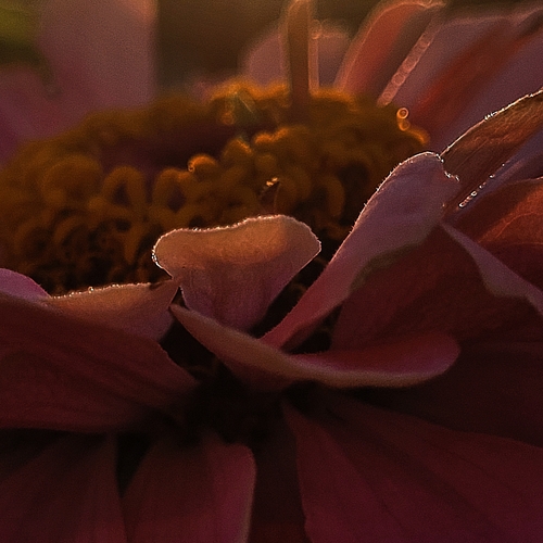 Photo #14022073