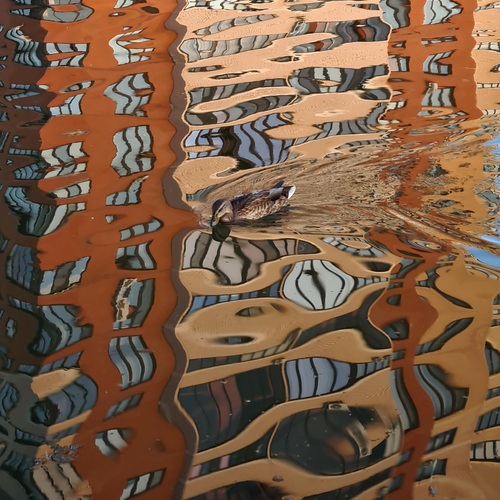 Liquid Architecture