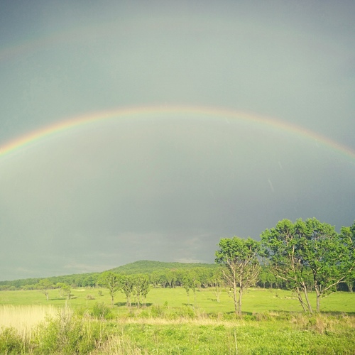 Photo #14022228