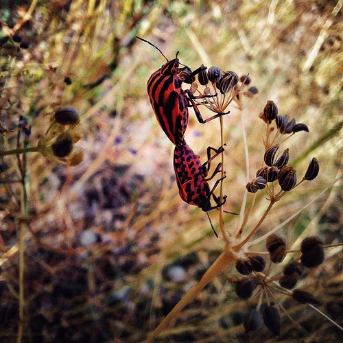 Photo #14022344