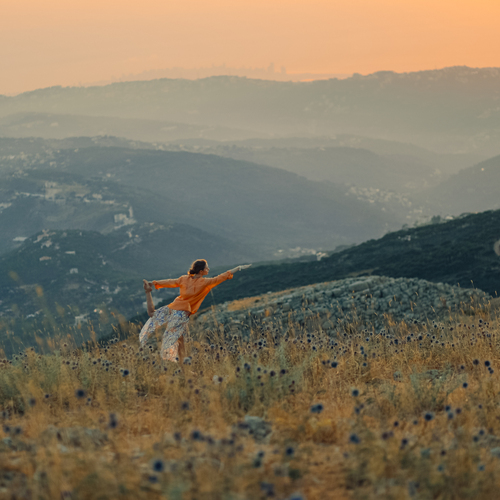 Photo #14022442