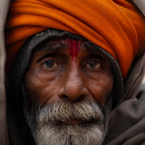Photo #14022546