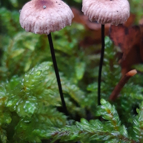 Photo #14022622