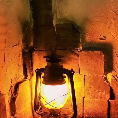 Photo #14022661
