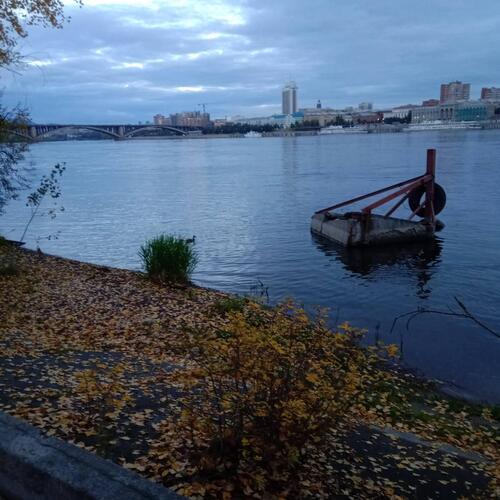 Photo #14022720