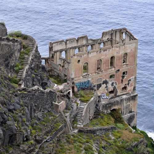 Photo #14022737