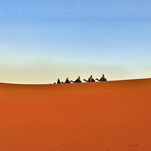 Photo #14022803