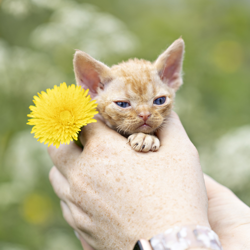 Photo #14022804