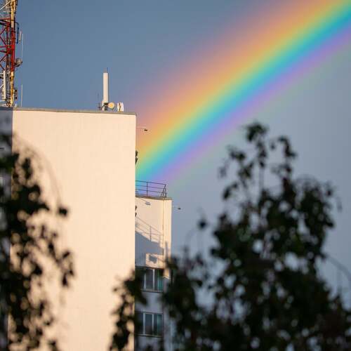 Photo #14022857
