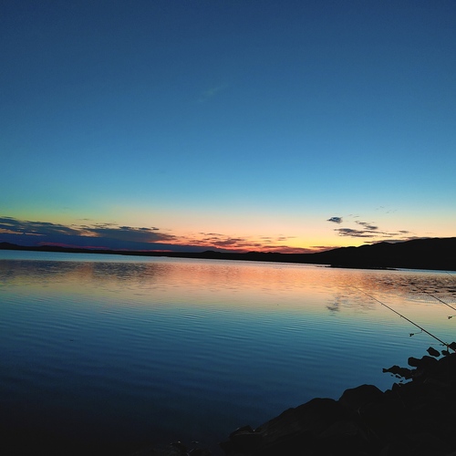 Photo #14023097