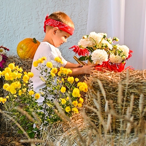 Photo #14023192