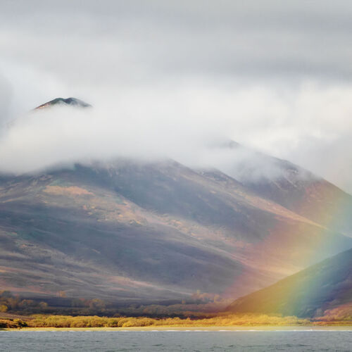 Photo #14023266
