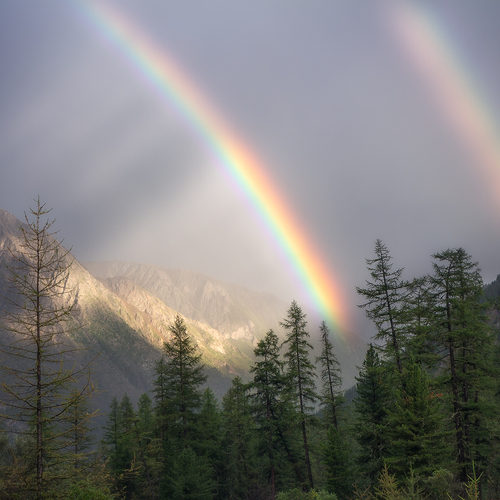 Photo #14023355