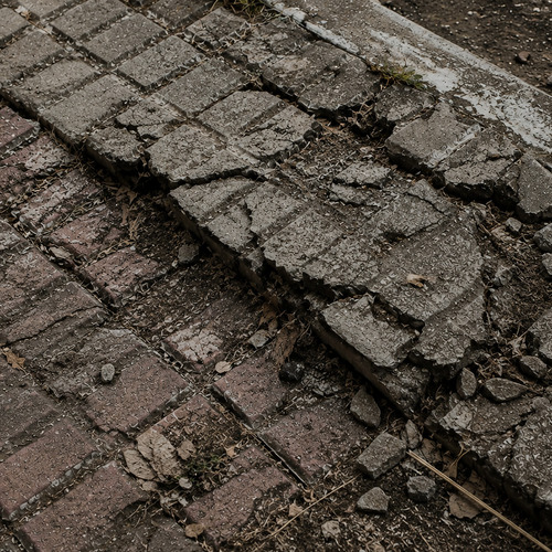 Photo #14023447