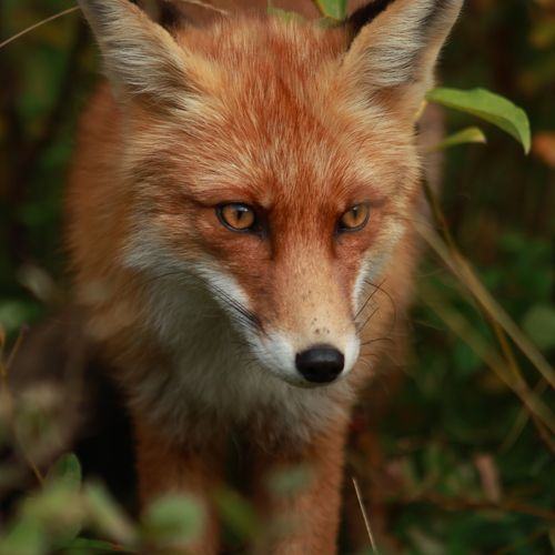 Photo #14023479