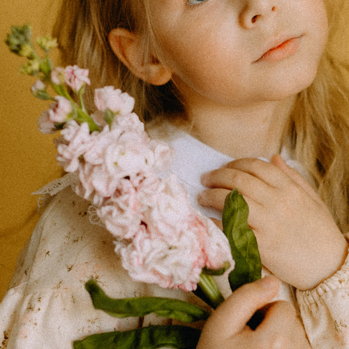 Photo #14023570
