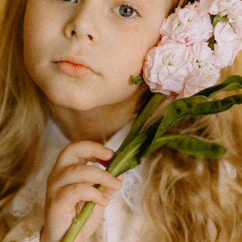 Photo #14023571