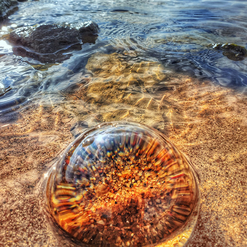Photo #14023718