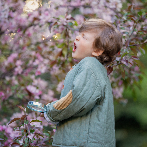 Photo #14023733