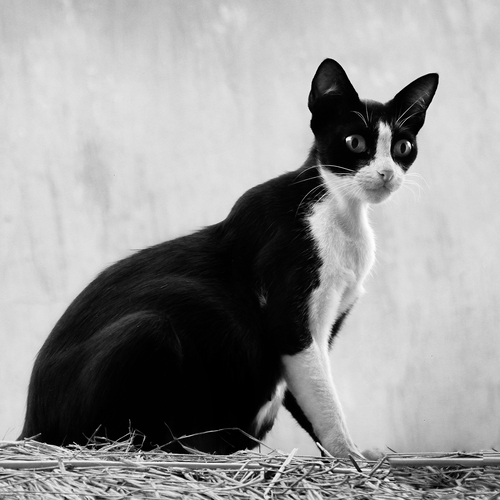 Photo #14023873