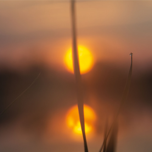 Photo #14024081