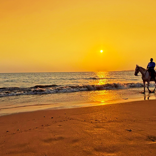 The cowboy and the fiery sunset