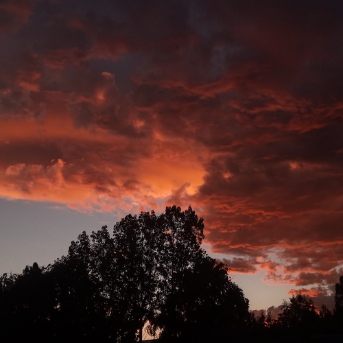 Photo #14024249