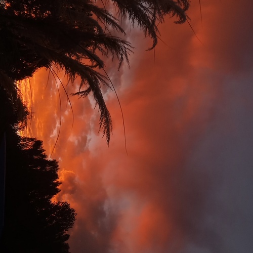 Photo #14024251