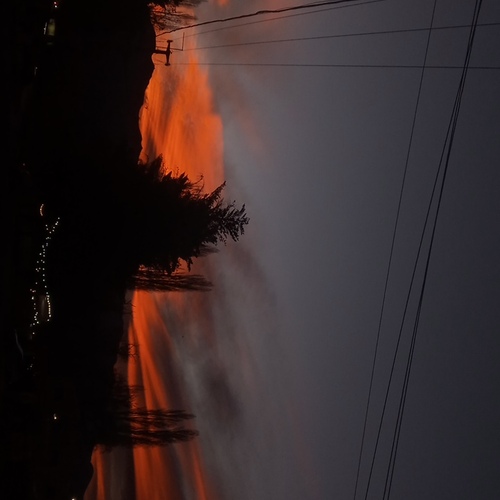 Photo #14024257