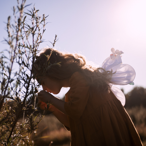 Photo #14024351
