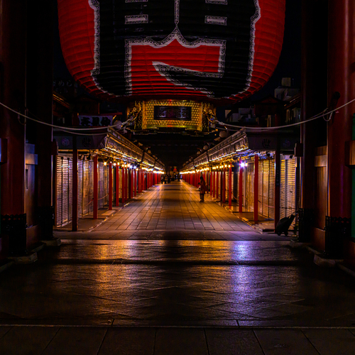 Photo #14024418