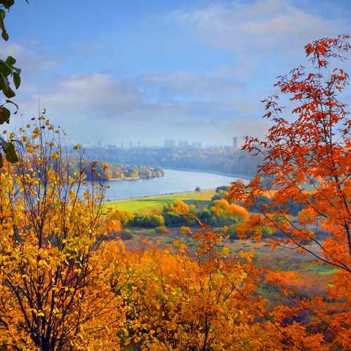 Photo #14024437