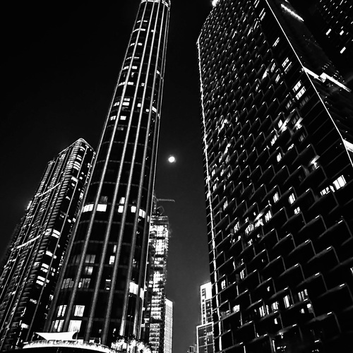Photo #14024535