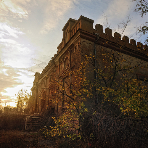 Photo #14024631