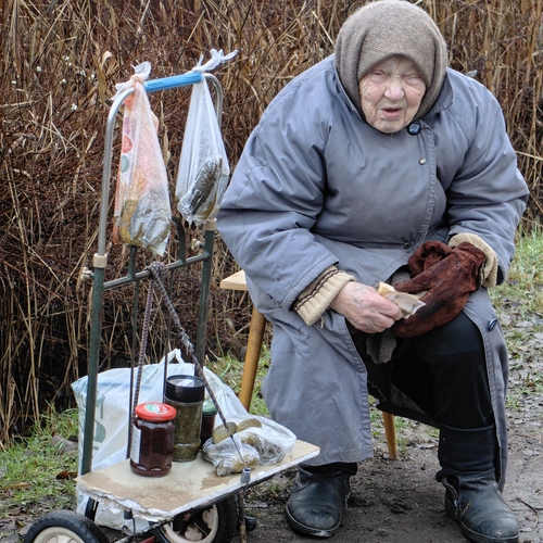 Photo #14024632