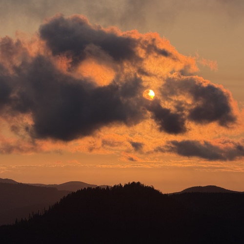 Photo #14024635