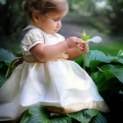 Photo #14024669