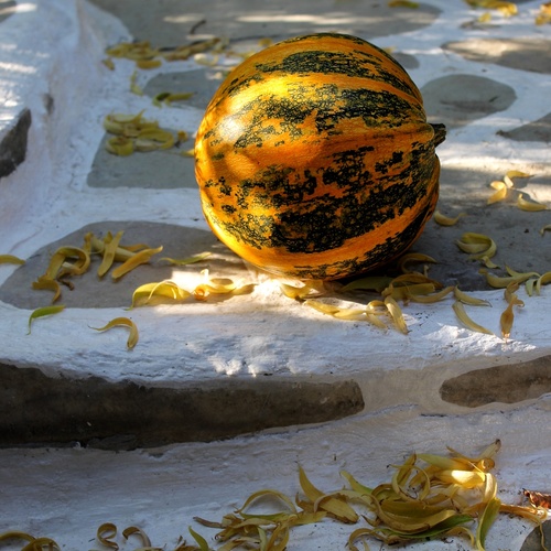 Photo #14024693