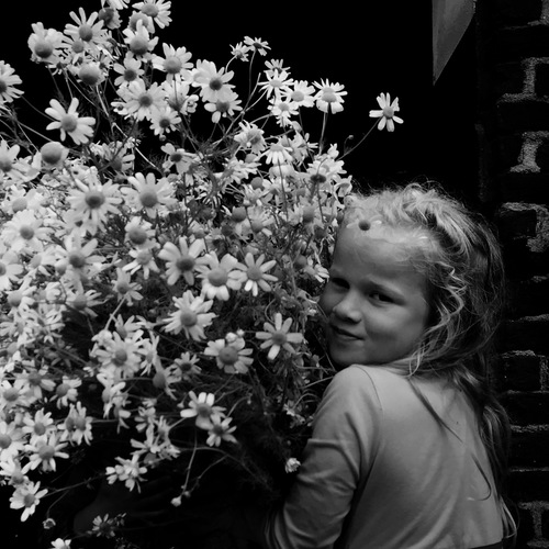 Photo #14024788